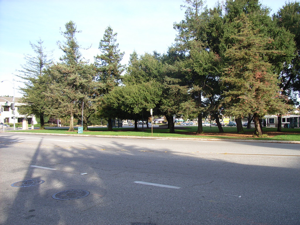 RIMG0031.JPG