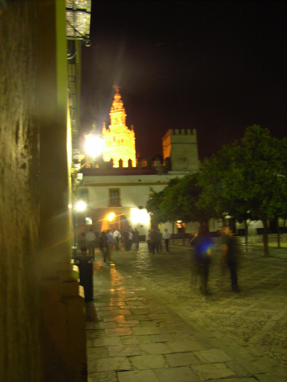 RIMG0453.JPG