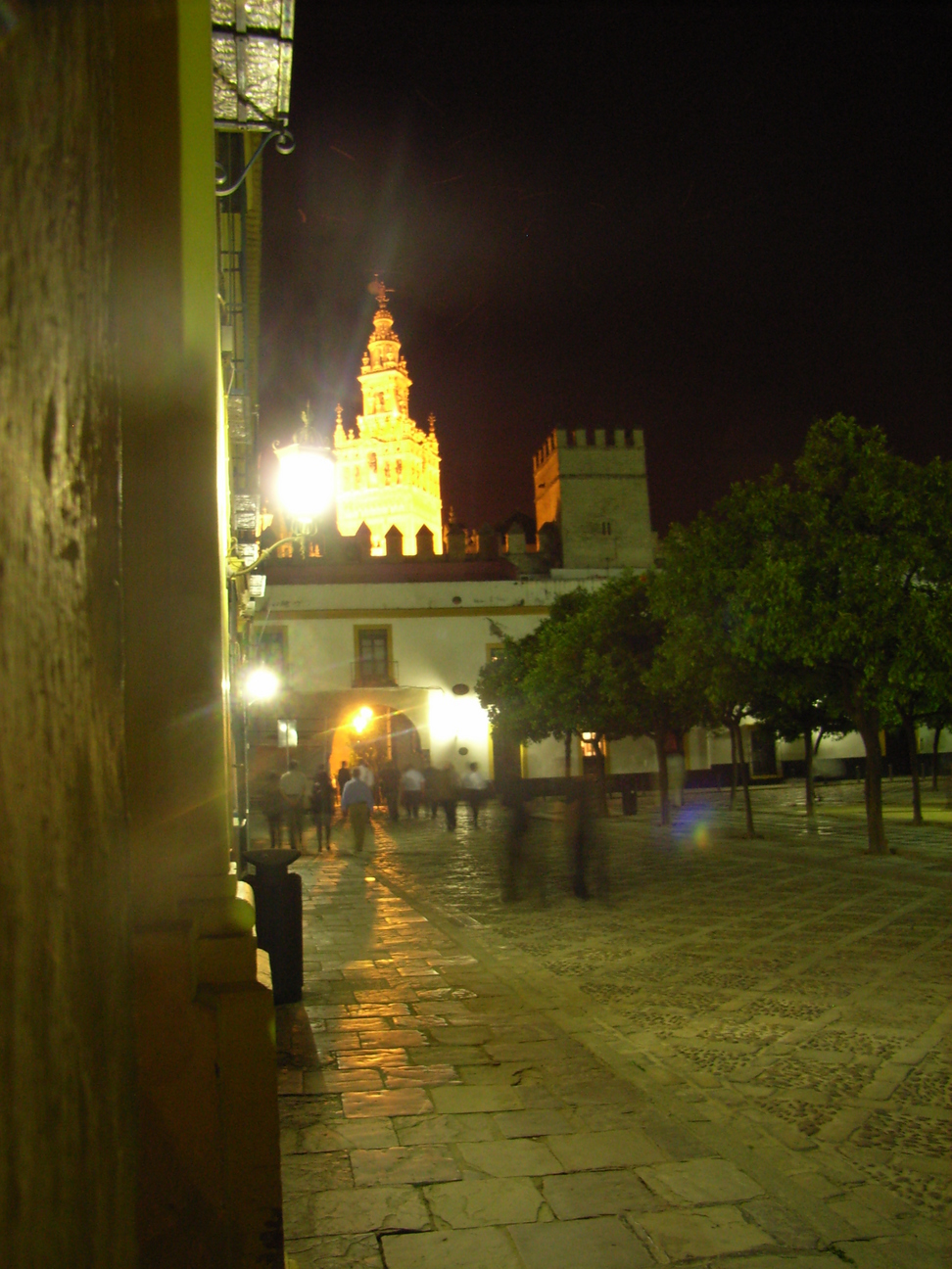 RIMG0454.JPG